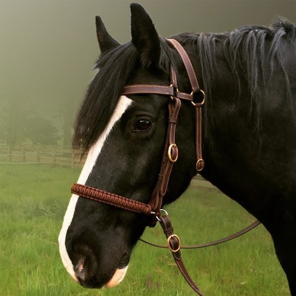 Evolve BITLESS NOSEBAND