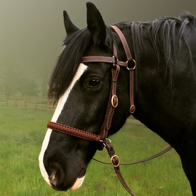 Evolve BITLESS NOSEBAND