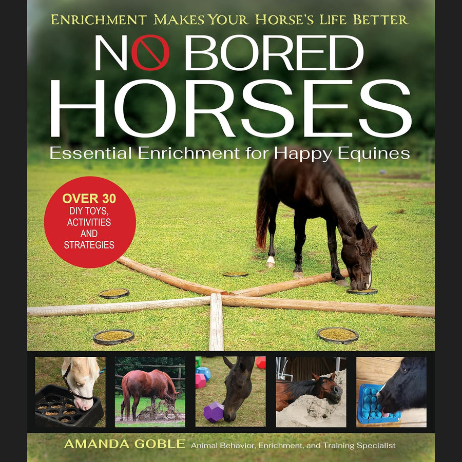 No Bored Horses. Essential Enrichment for Happy Equines