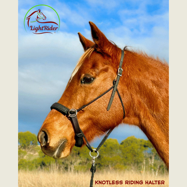 LightRider KNOTLESS RIDING HALTER