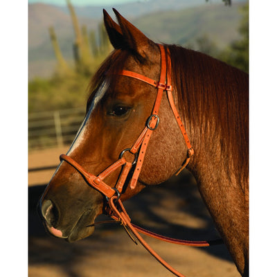 SCHUTZ Side Pull with Round Leather Noseband