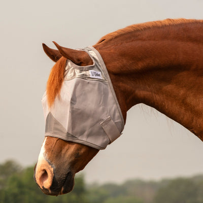 Horse wearing a Cashel Crusader fly mask