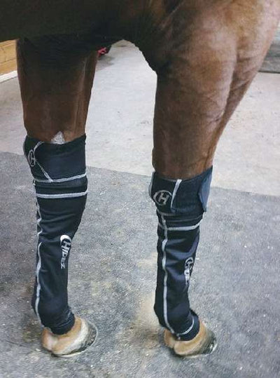HIDEZ ICE Socks FRONTS Compression plus Ice - for Horses