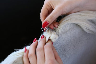 Quick Knot - Clip for Mane Braids