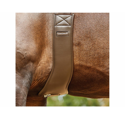 Collegiate Anatomic Girth - buckles not covered