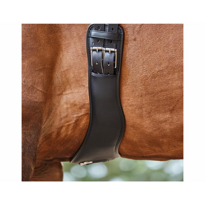 Collegiate Anatomic Dressage Girth