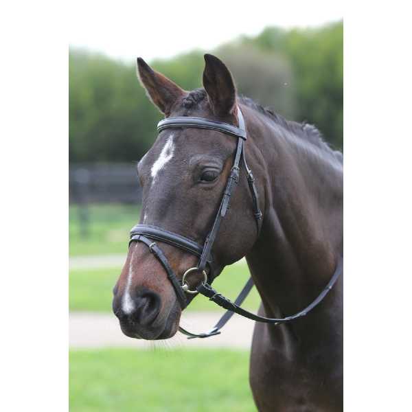 Bridle Hanoverian Kincade
