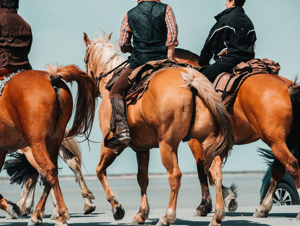 7 Must-Haves for Your Next Long Ride - Gone RIDING