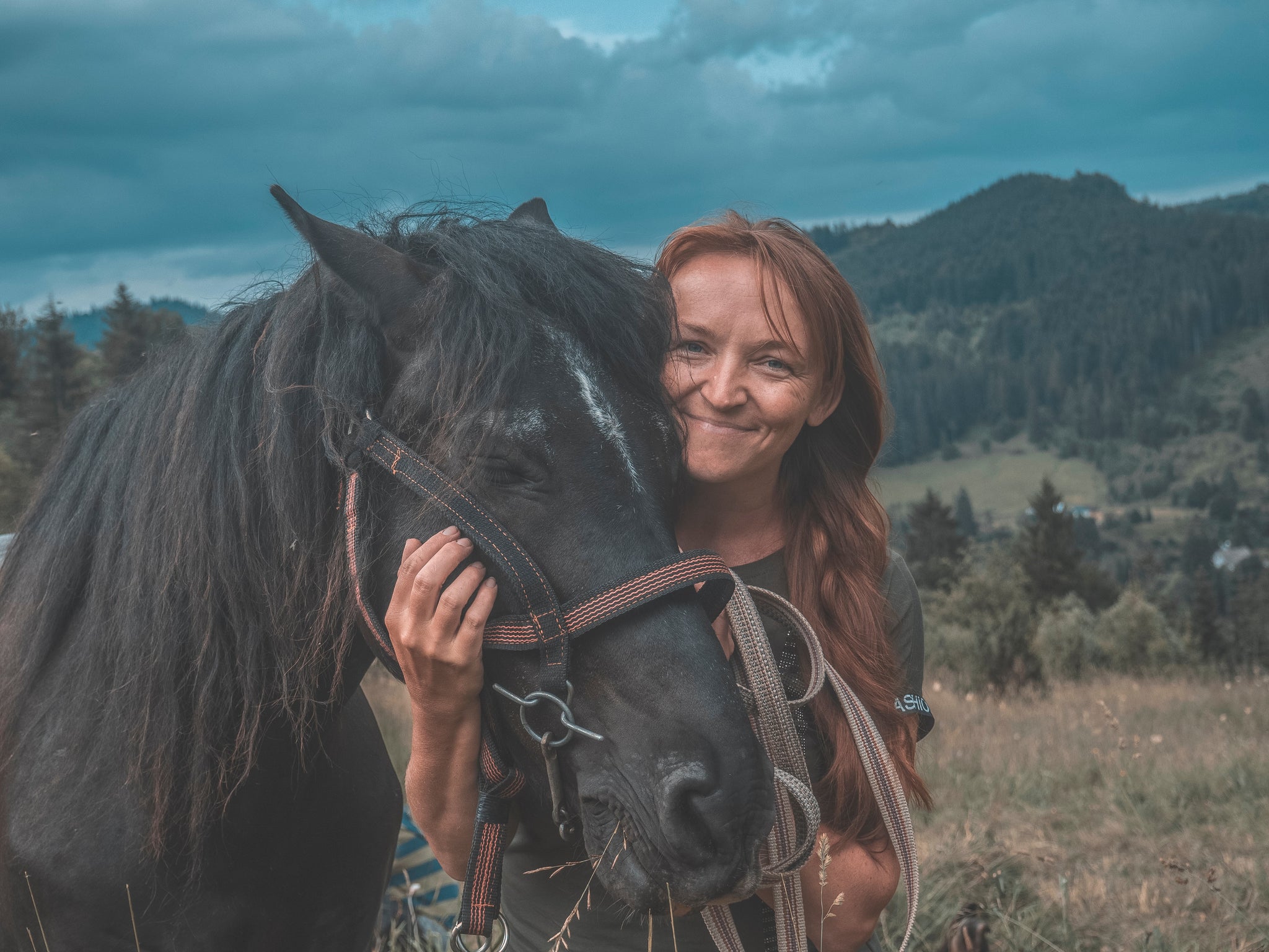 Emergency ID tags for your horses...just in case!