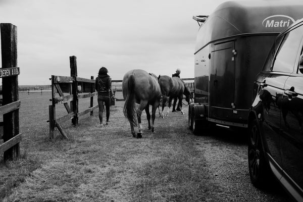 Lights, camera, action! The MySpy camera for your horse float - Gone RIDING