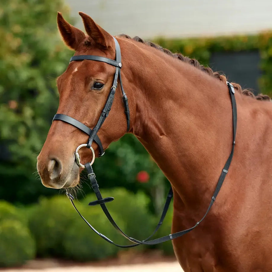 DUBLIN Flat Cavesson Bridle