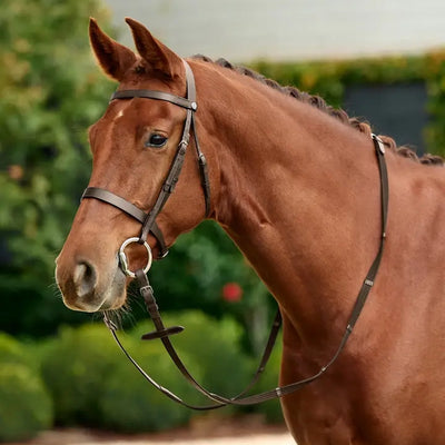DUBLIN Flat Cavesson Bridle