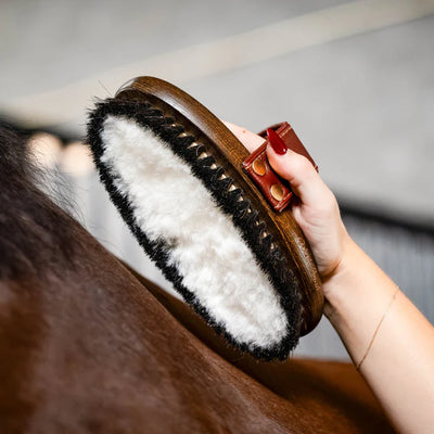 WOOL Brush - By Hairy Pony