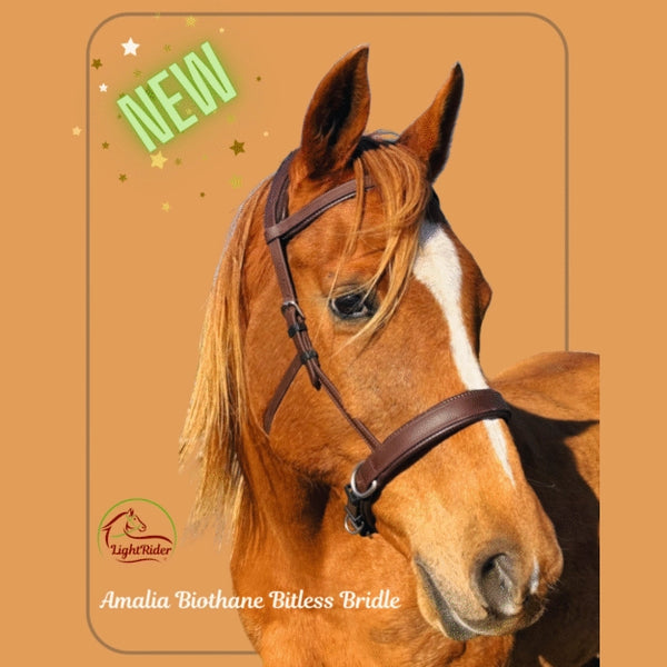 Gone Ringing LightRider AMALIA BIOTHANE Bitless Bridle - Gone RIDING