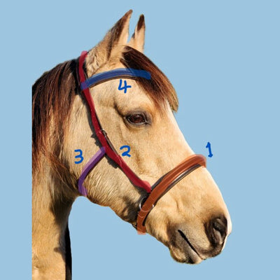 LightRider AMALIA BIOTHANE Bitless Bridle