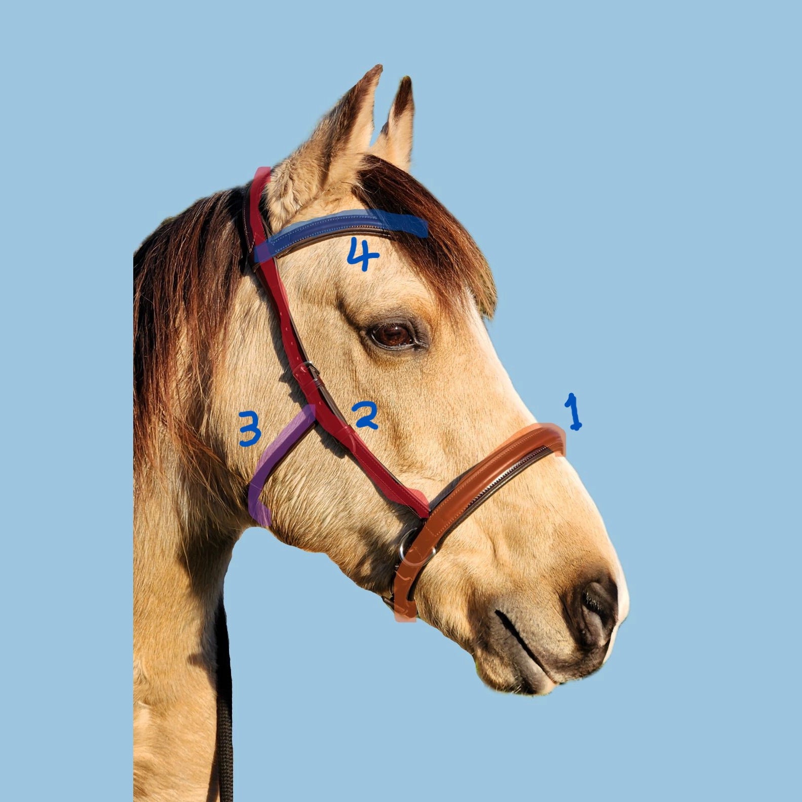 LightRider AMALIA WESTERN Bitless Bridle