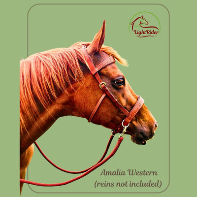 LightRider AMALIA WESTERN Bitless Bridle