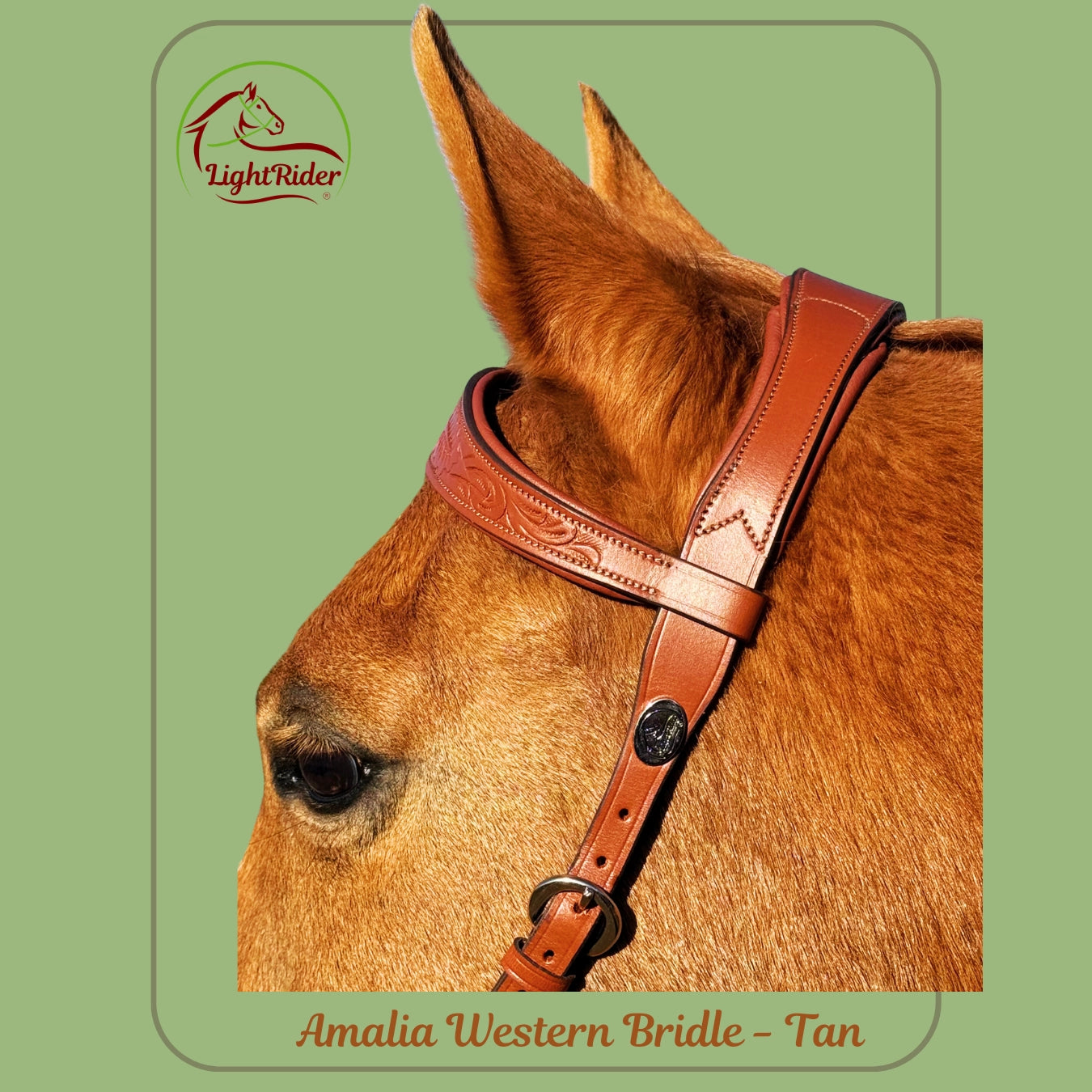 LightRider AMALIA WESTERN Bitless Bridle