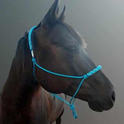 Evolve Headstall 6mm yatching rope with padded nose and poll - by Evolve Equine