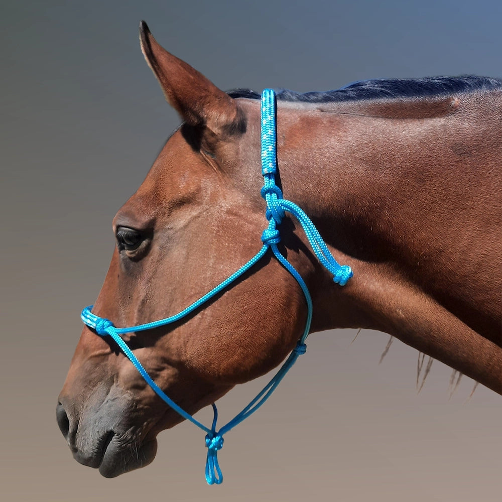 Evolve Headstall 6mm yatching rope with padded nose and poll - by Evolve Equine