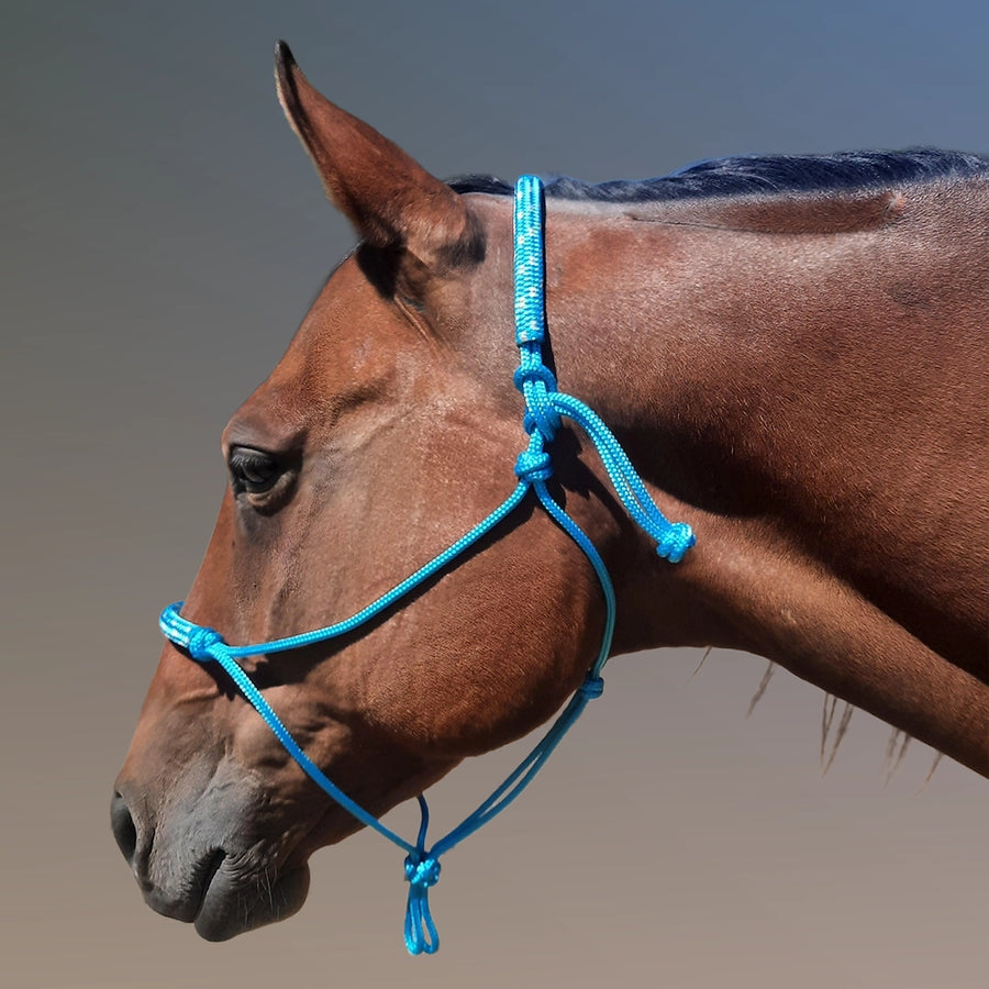 Evolve Headstall 6mm yatching rope with padded nose and poll - by Evolve Equine