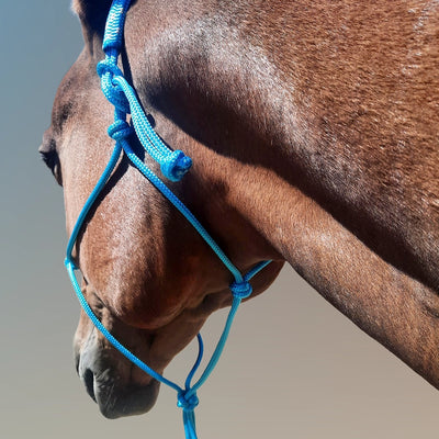Evolve Headstall 6mm yatching rope with padded nose and poll - by Evolve Equine