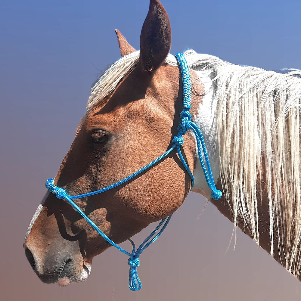 Evolve Headstall 6mm yatching rope with padded nose and poll - by Evolve Equine