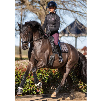 Carbon Tech Bell Boots by BARE Horse Wear