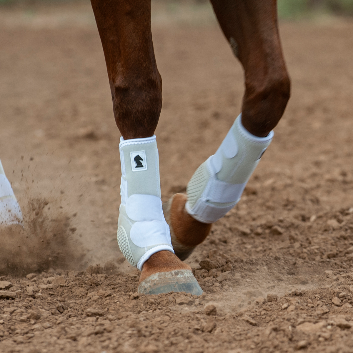 Classic Equine Flexion by Legacy2 Support Boots