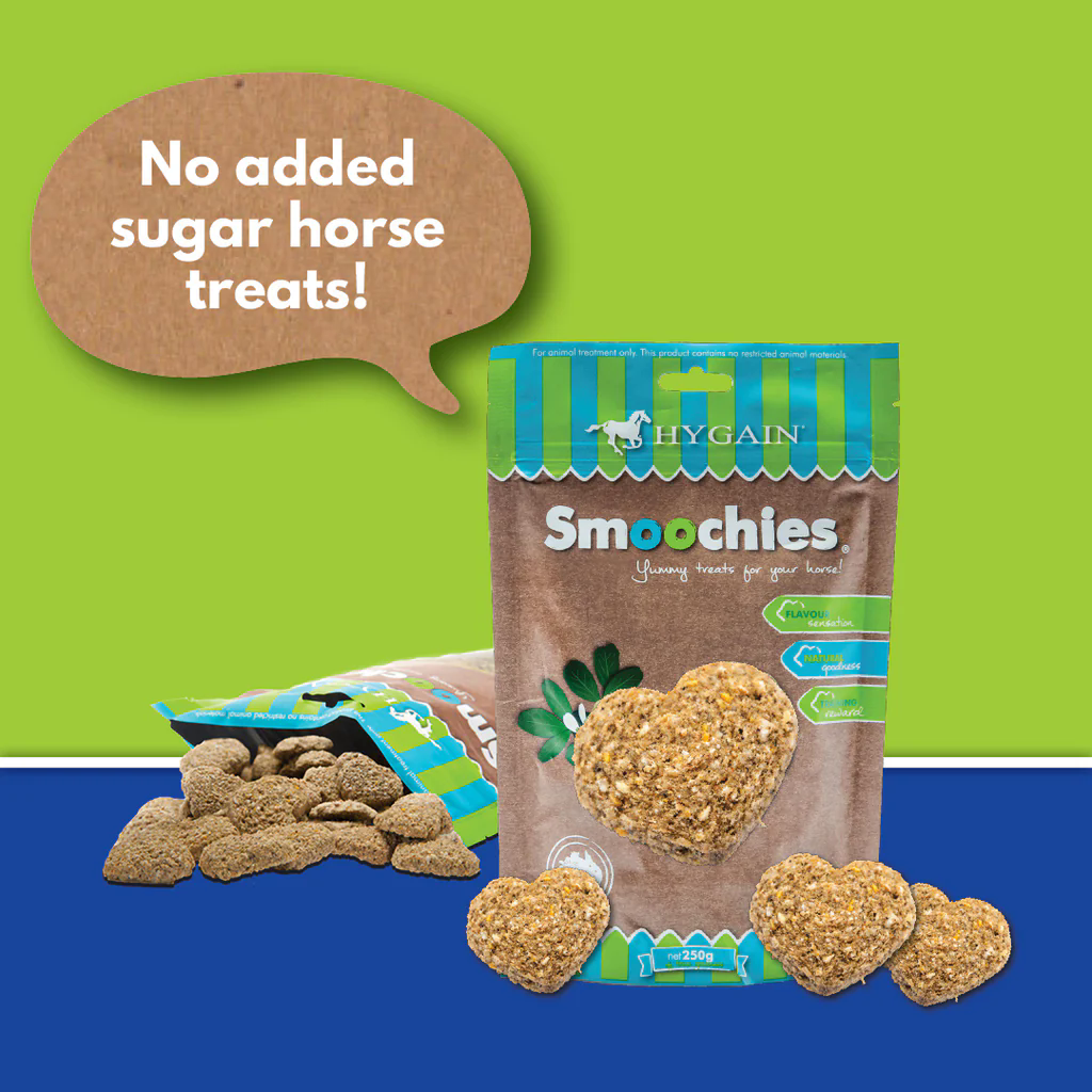 Hygain Smoochies Horse Treats - 250g