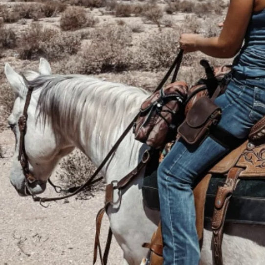 THE HORSE HOLSTER: PREMIUM LEATHER