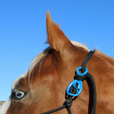Halter Hooki - Easy Fastening & Breakaway for Rope Halters and Bridles - Natural Horse World