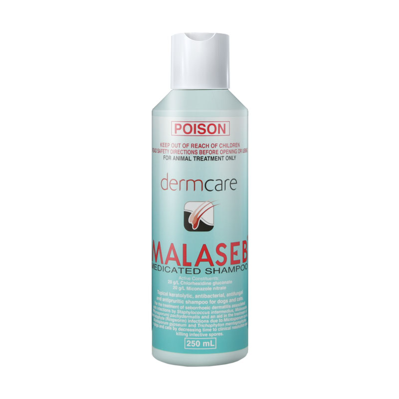 Malaseb Shampoo 250ml