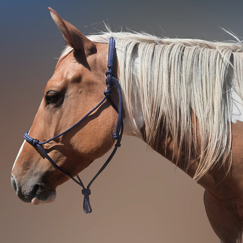 Evolve Headstall 6mm yatching rope with padded nose and poll - by Evolve Equine