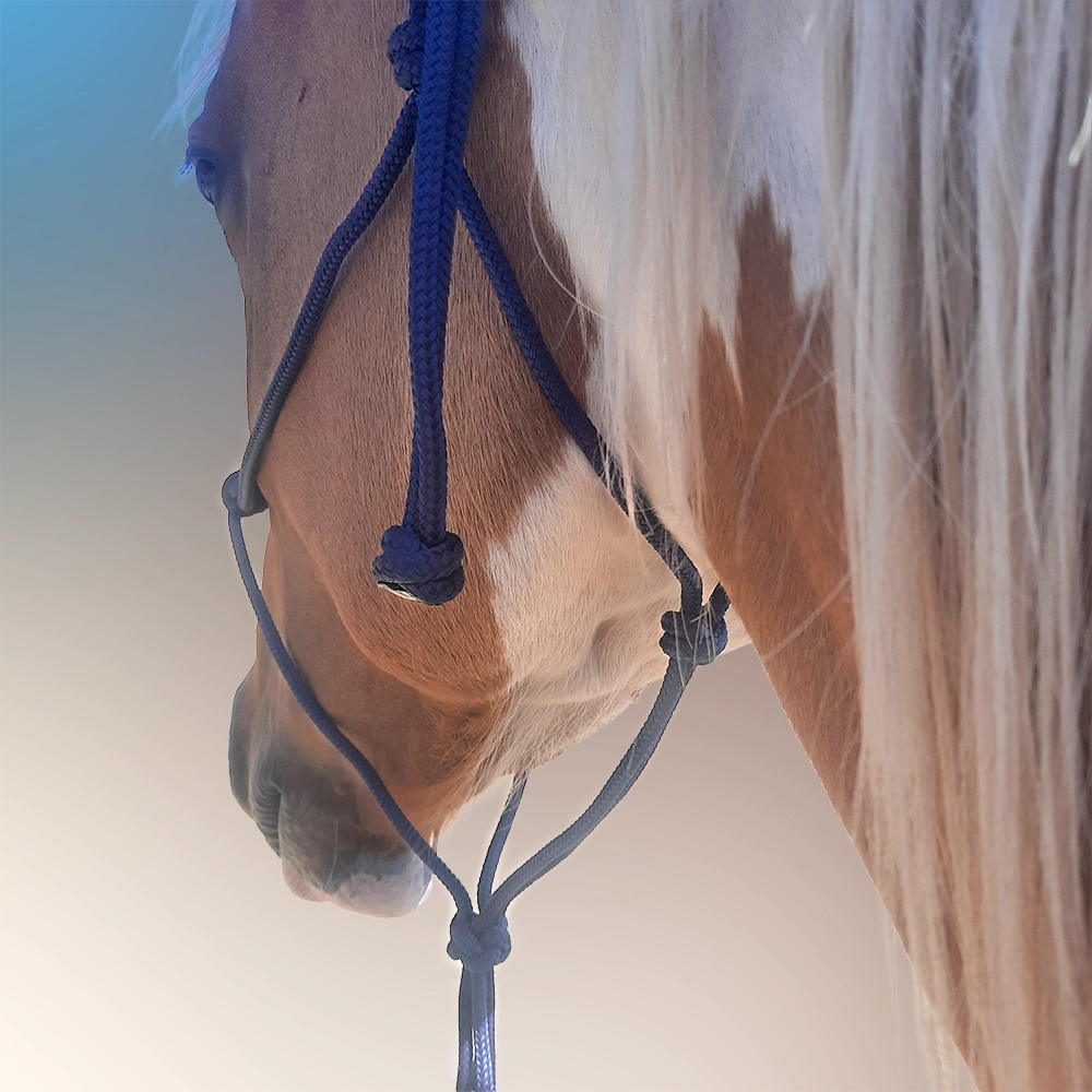 Evolve Headstall 6mm yatching rope with padded nose and poll - by Evolve Equine