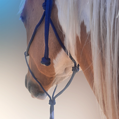 Evolve Headstall 6mm yatching rope with padded nose and poll - by Evolve Equine