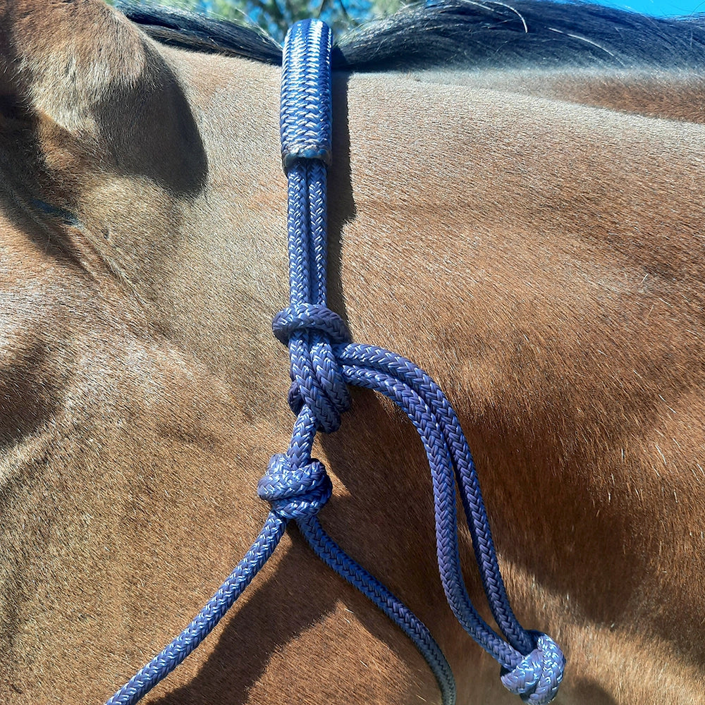 Evolve Headstall 6mm yatching rope with padded nose and poll - by Evolve Equine