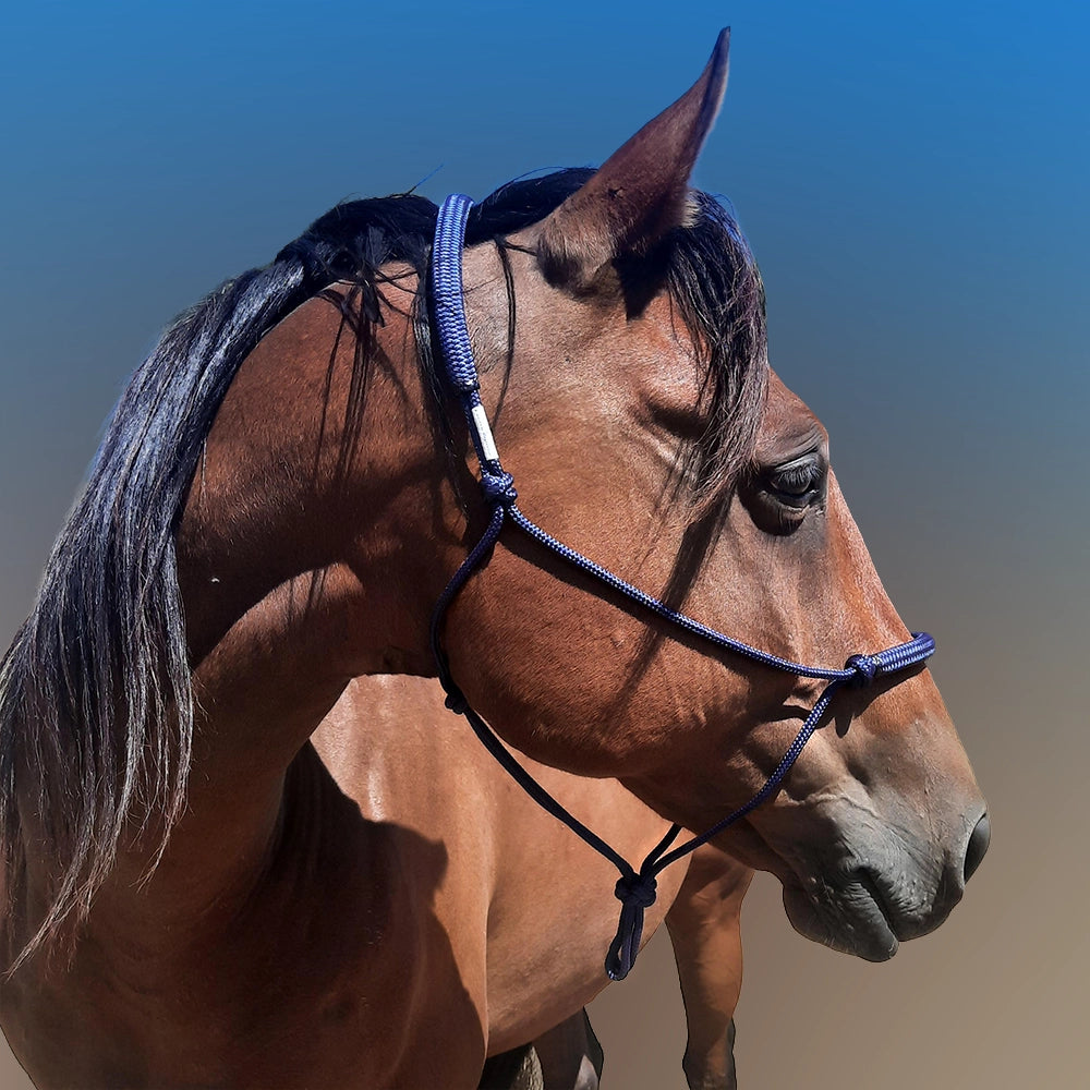 Evolve Headstall 6mm yatching rope with padded nose and poll - by Evolve Equine