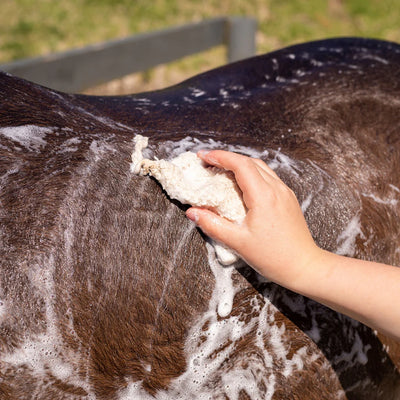 Hairy Pony Original Shampoo Bar - Eco Friendly Anti-Bacterial