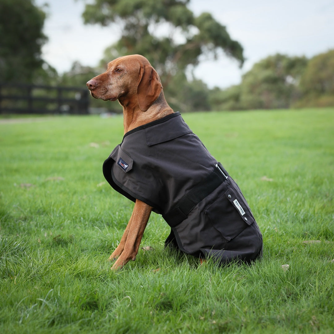 Oilskin Dog Rug