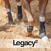 Classic Equine Legacy2 FRONT Protective Boots