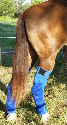 HIDEZ - ICE COMPRESSION HIND TRUDY HOLLOWAY AND CEE MAN