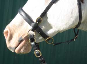 LightRider Bitless Noseband Leather - Black