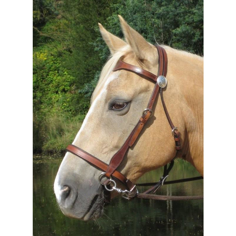 LightRider Bitless Bridle WESTERN - Brown