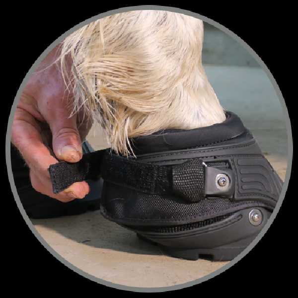 Easyboot Back Country 2016