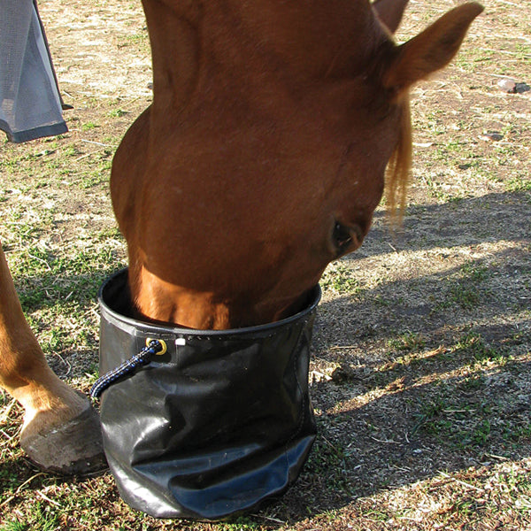 Collapsible Water Bucket Large Cashel