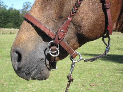 LightRider Bitless Noseband Leather - Brown