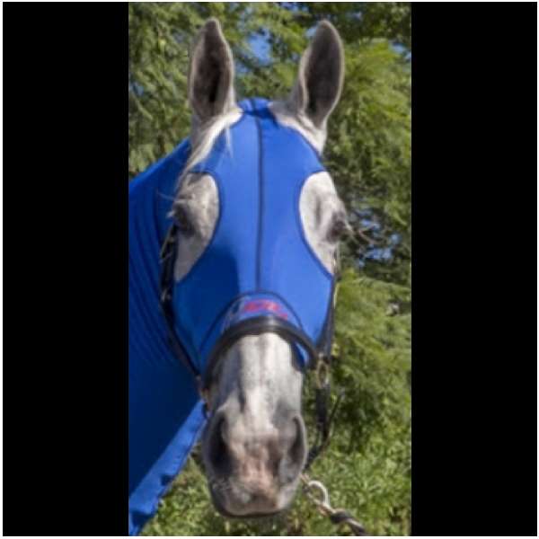 HIDEZ Compression HOODS - Blue