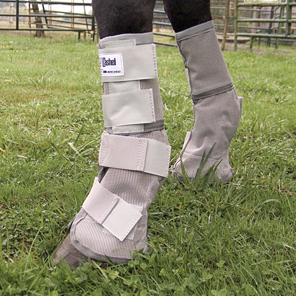 Cashel Leg Guards III