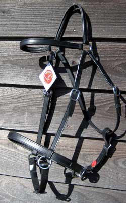 LightRider STOCKHORSE BITLESS Bridle - Regular Leather with S/Steel Fittings